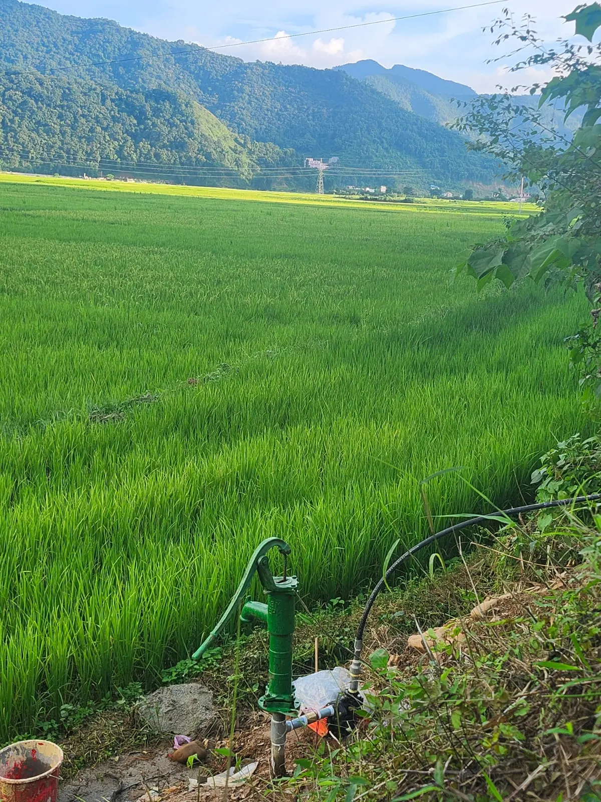 Pose du raccordement à l’eau potable / robinetterie