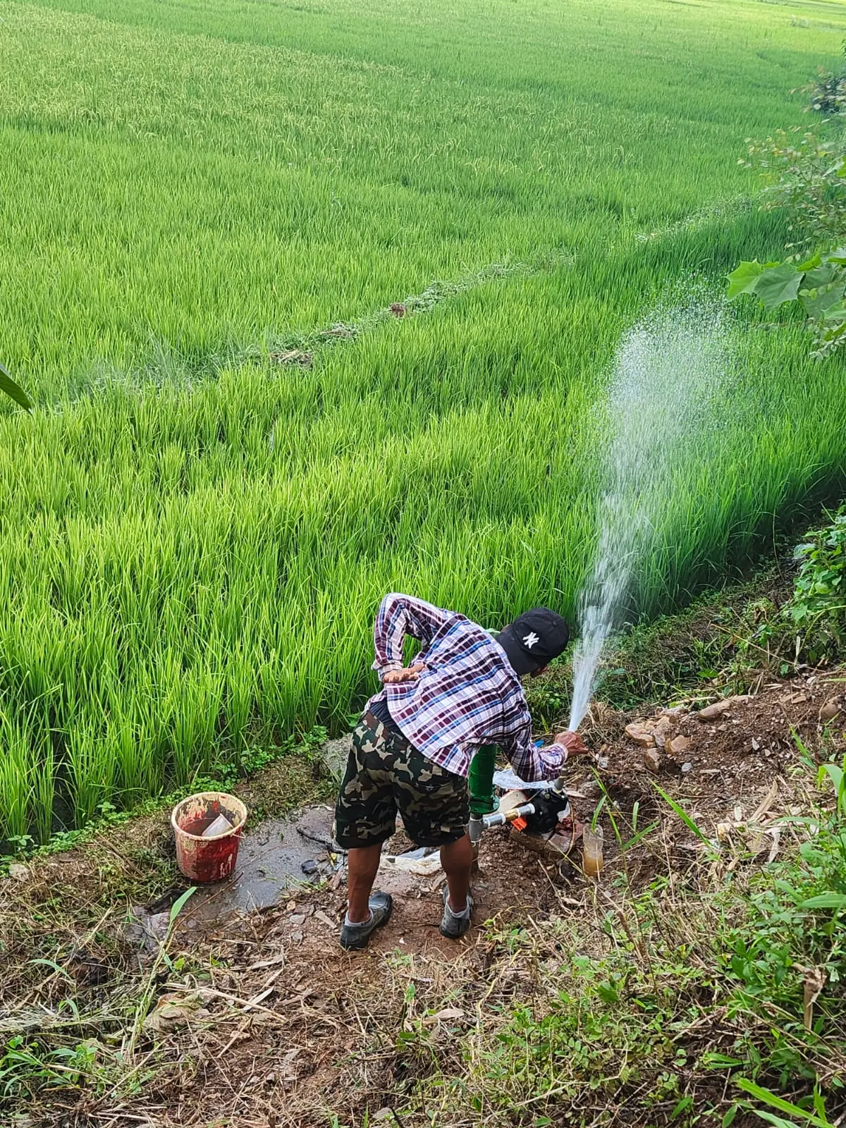 Accès à l’eau dans les toilettes / lavabos