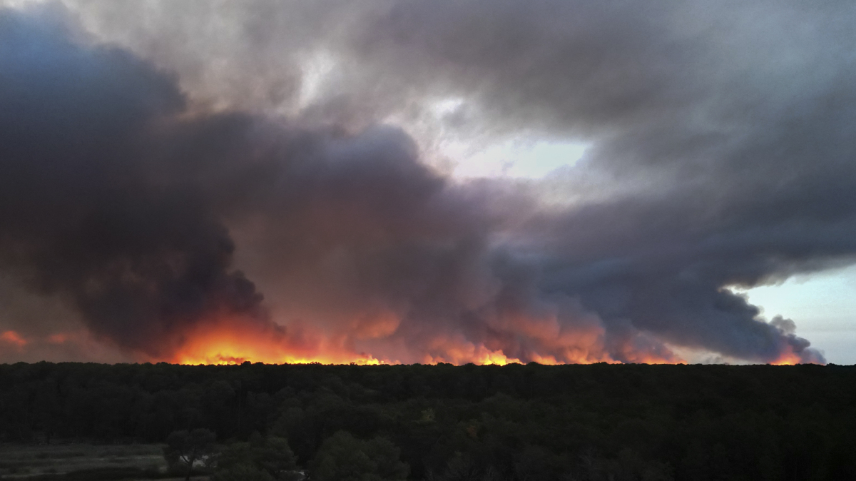 Forêt des Landes de Gascogne ravagée par les flammes en juillet 2026.
