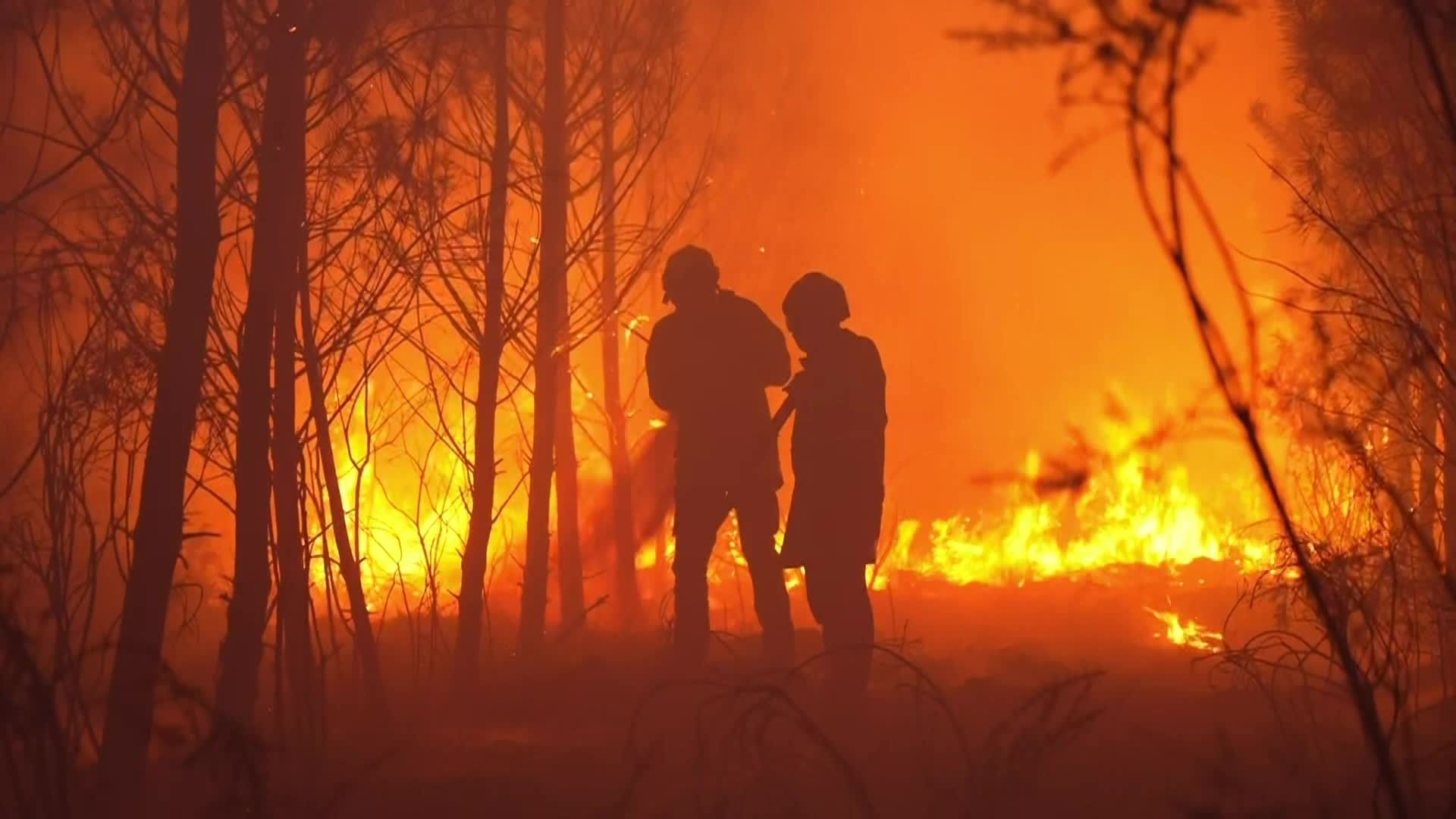Sapeurs-pompiers du SDIS 33 en intervention sur les feux de Gironde.